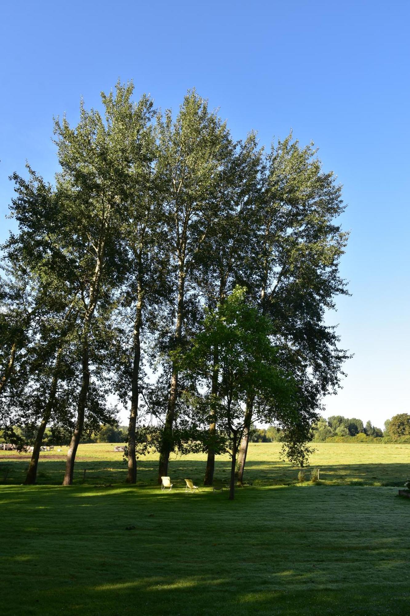 Domaine De L'Ermitage Bed and Breakfast Berry-Bouy Exteriör bild